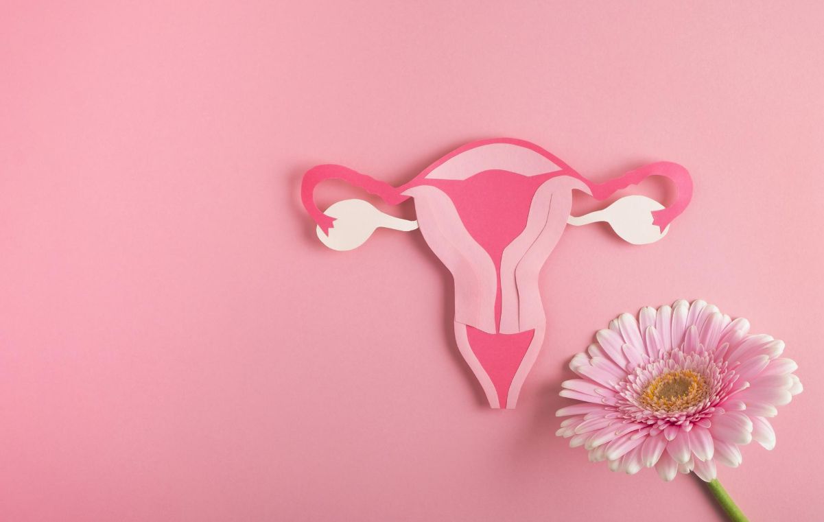 Maquete de uma vagina saudável após o uso de probióticos íntimos para mulheres