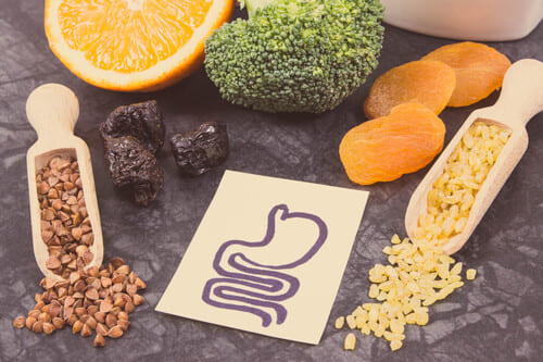 Probiotika und ihr Nutzen für den Darm