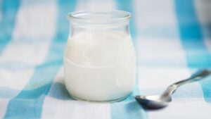 probiotic foods yogurts